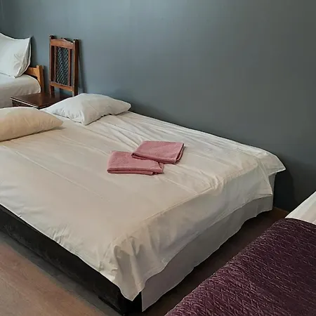 Hostelli Central Hostel *